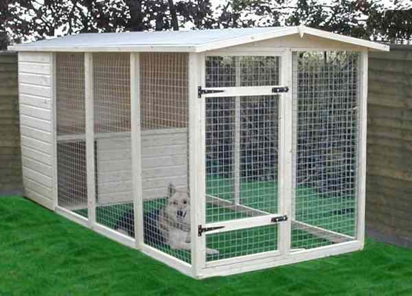 Large Outdoor Dog Kennel